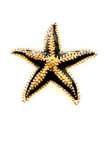 Load image into Gallery viewer, Vintage Black and Gold Starfish Brooch

