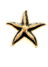 Load image into Gallery viewer, Vintage Black and Gold Starfish Brooch
