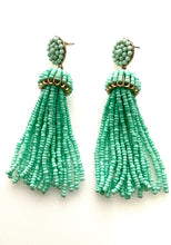Load image into Gallery viewer, Mint Green Tassel Earrings
