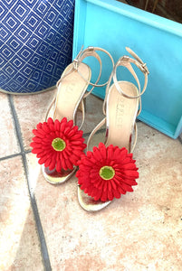 Red Gerbera Flower Shoe Clips